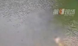 爆料男子溺亡视频,监控视频曝光惊心动魄一幕