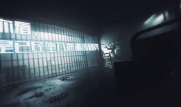 半感染者最新爆料视频,揭秘病毒潜伏期惊人真相